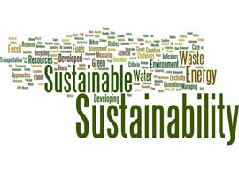 sustainability wordle